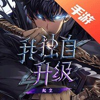 我独自升级Arise（国际服）