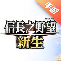 新信长之野望