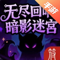 无尽回响:暗影迷宫