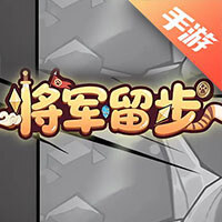将军留步