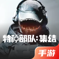 特种部队：集结