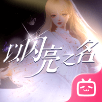 以闪亮之名