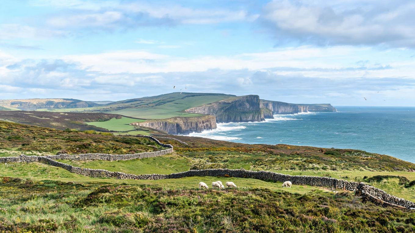 Ireland Louth 5-Day Deep Tour: From Moher Cliffs to Connemara Secret Paradise