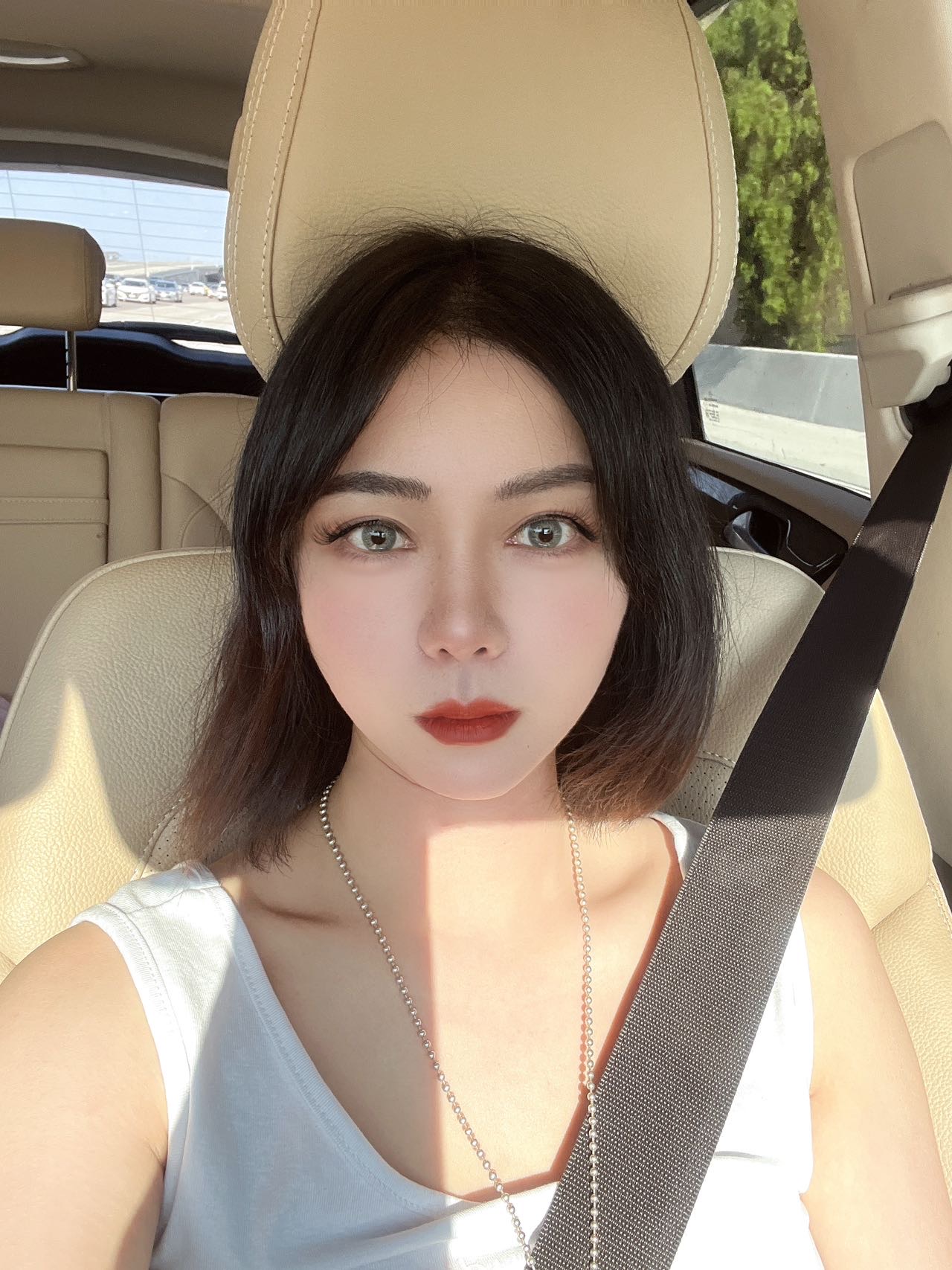 圣迭戈地陪导游 dzh
