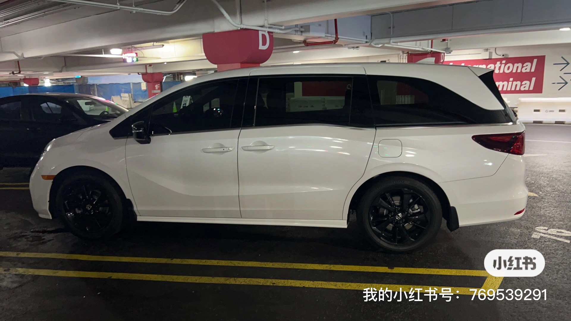 圣迭戈地陪导游 青春的繁华