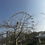 Shenzhen 婧恩