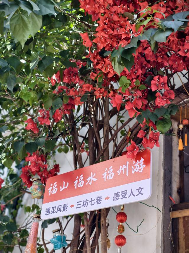 三明地陪导游 诗远定制旅行