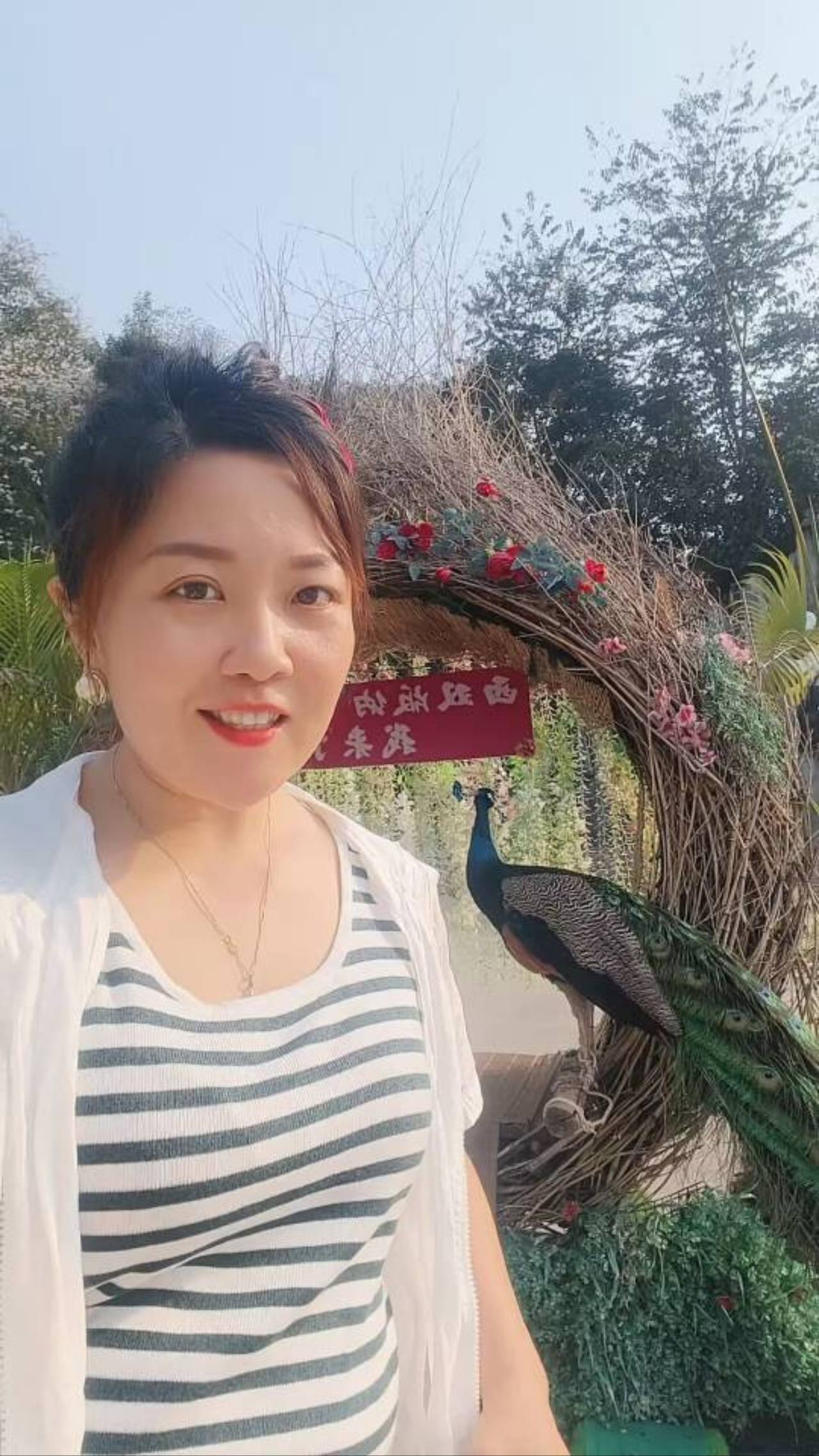 惠州 安禾