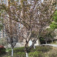 用户4897