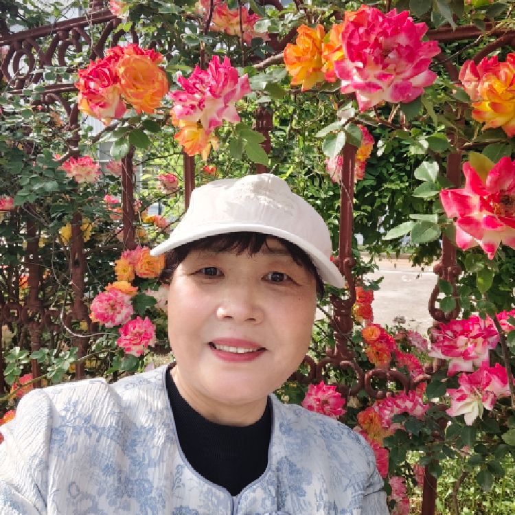 温暖的阳光用户1090