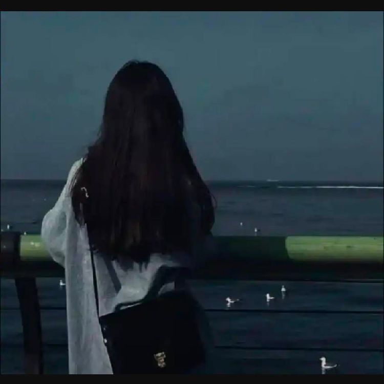 用户8654