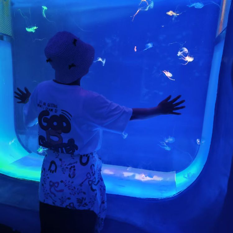 邂逅余生用户2217