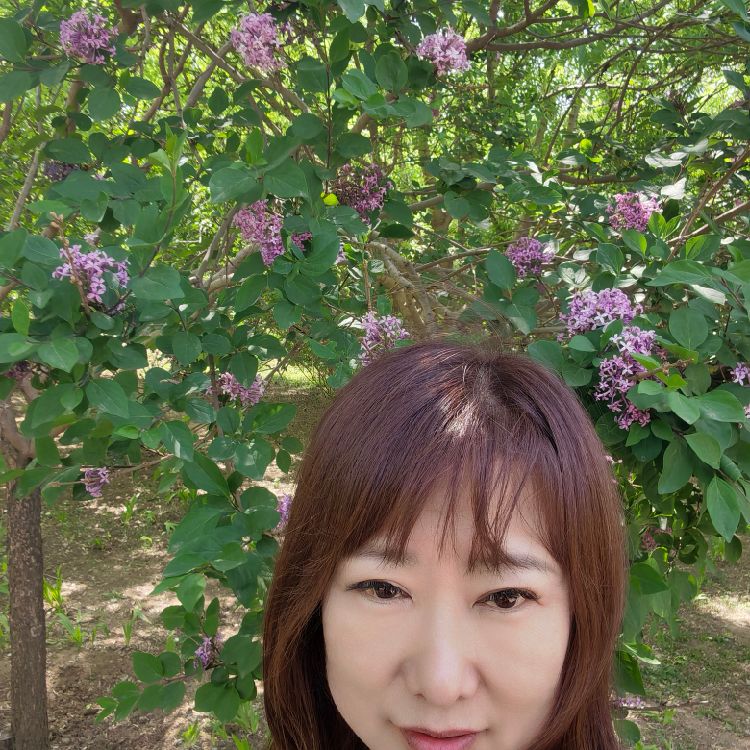 云淡风轻