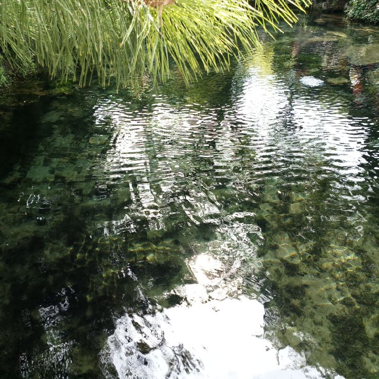 用户沉默0517