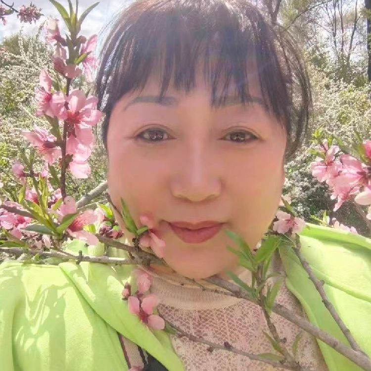 小燕子