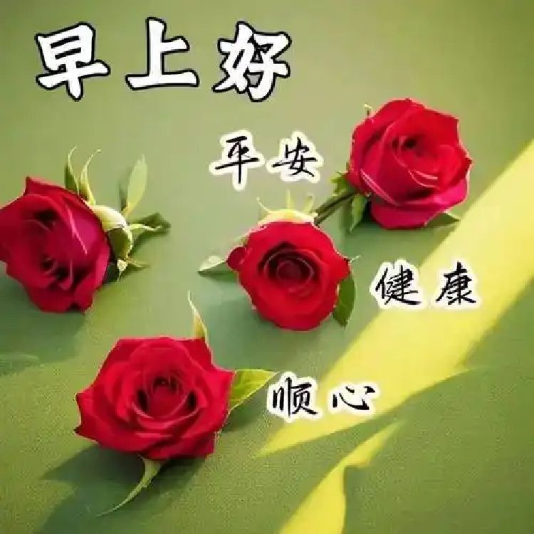 用户5149