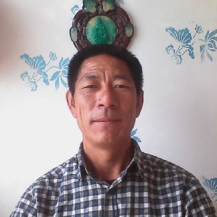 老来伴