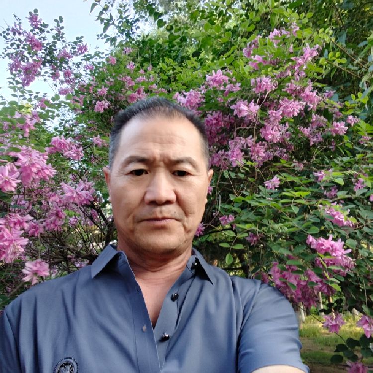 顺利通过