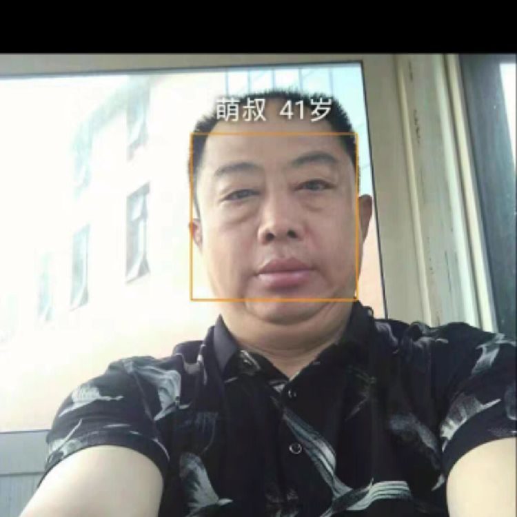 情海拾贝