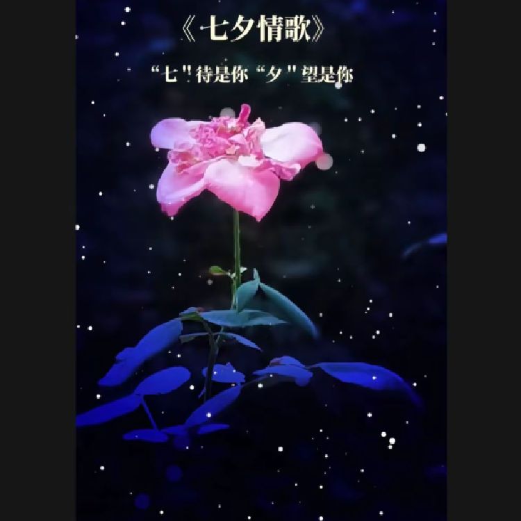 用户0870