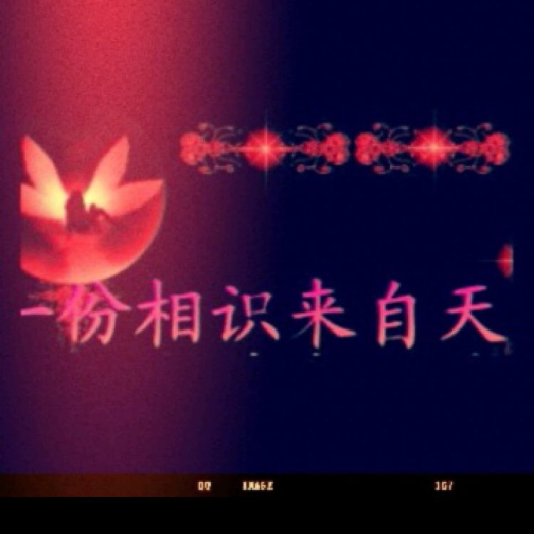 用户9866