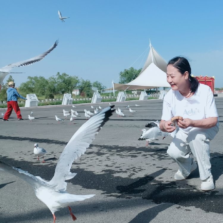 感悟人生