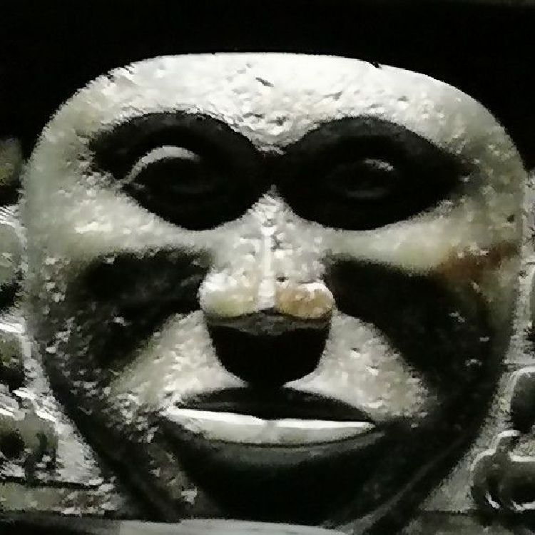 用户草地哥