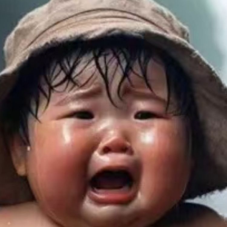大家伙