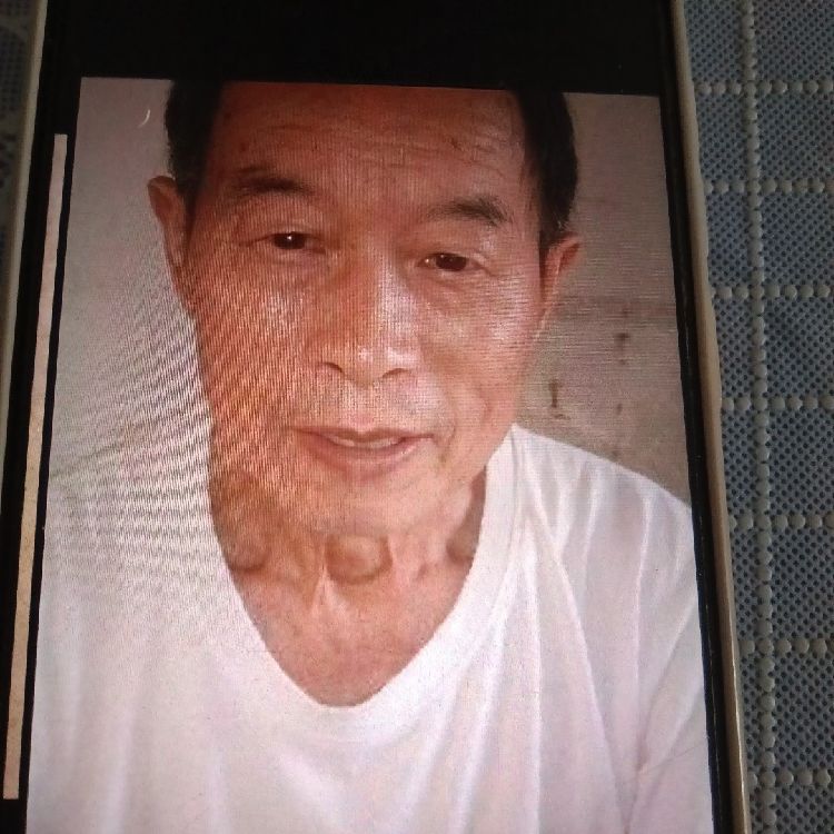 青橄榄树用户6681