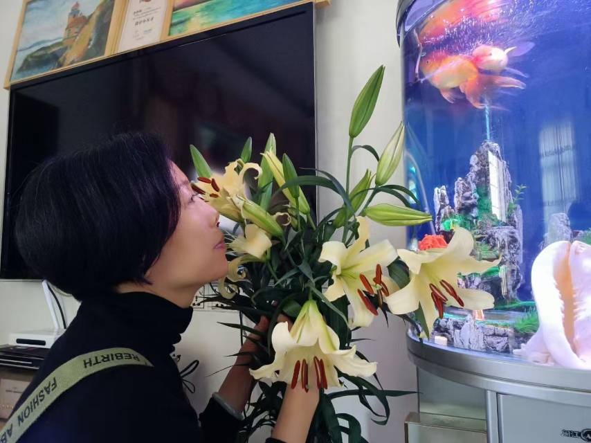 随意而安