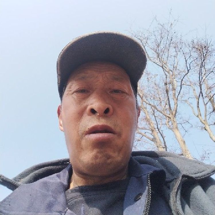 用户持之以恒6572