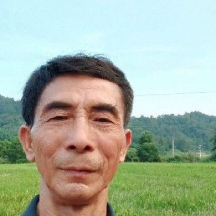 军哥