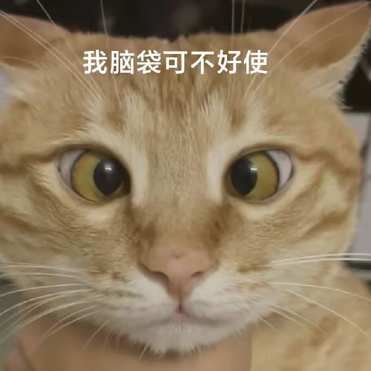 小安