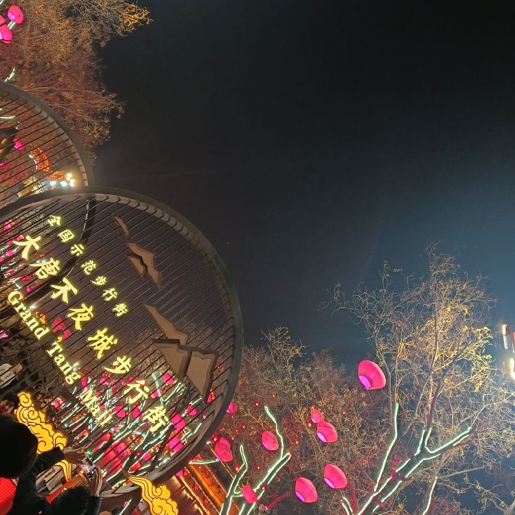 用户2777