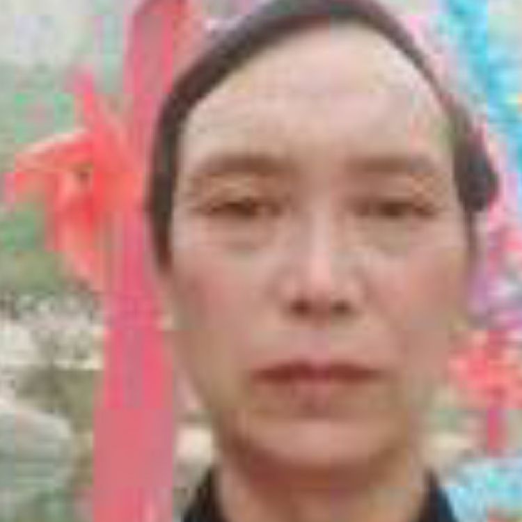 用户李保国1741