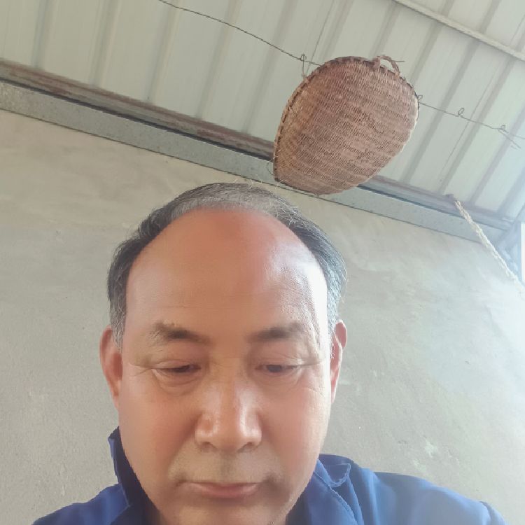 鲤用户9002