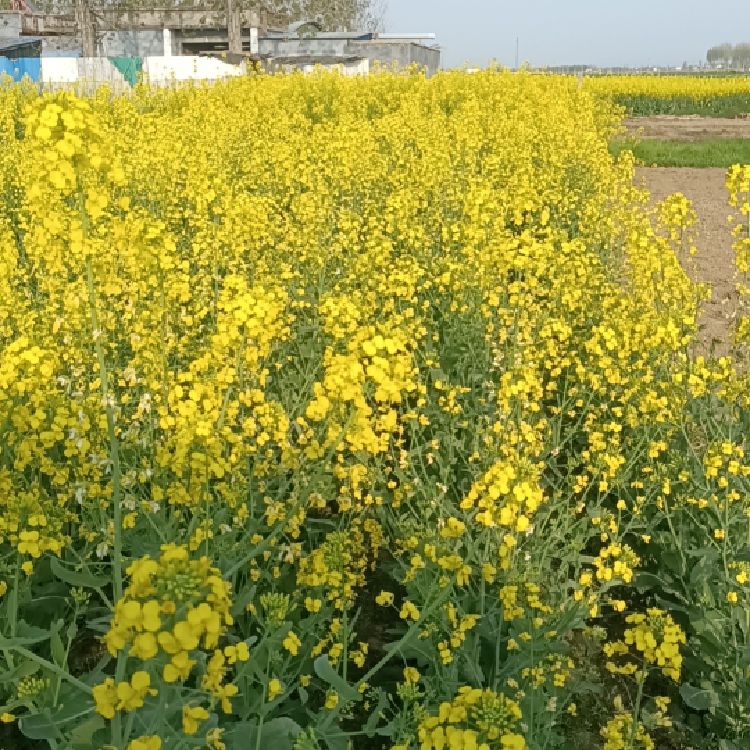 用户4107