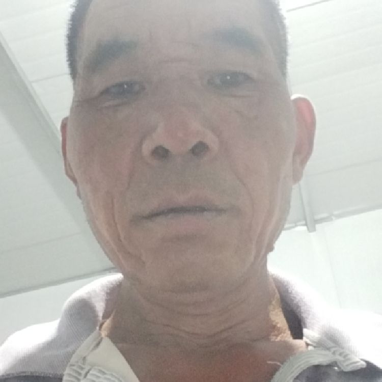 用户6558