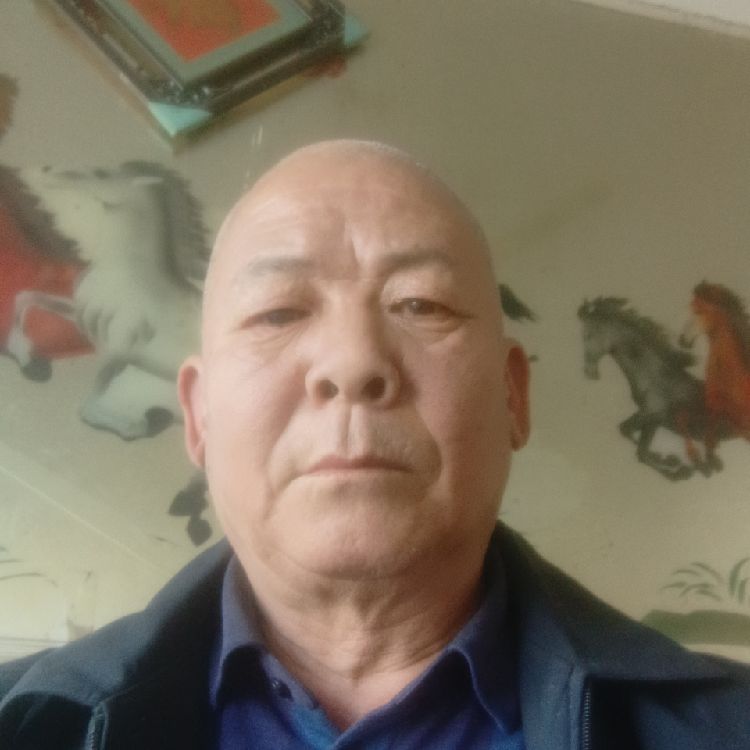放心鲜肉