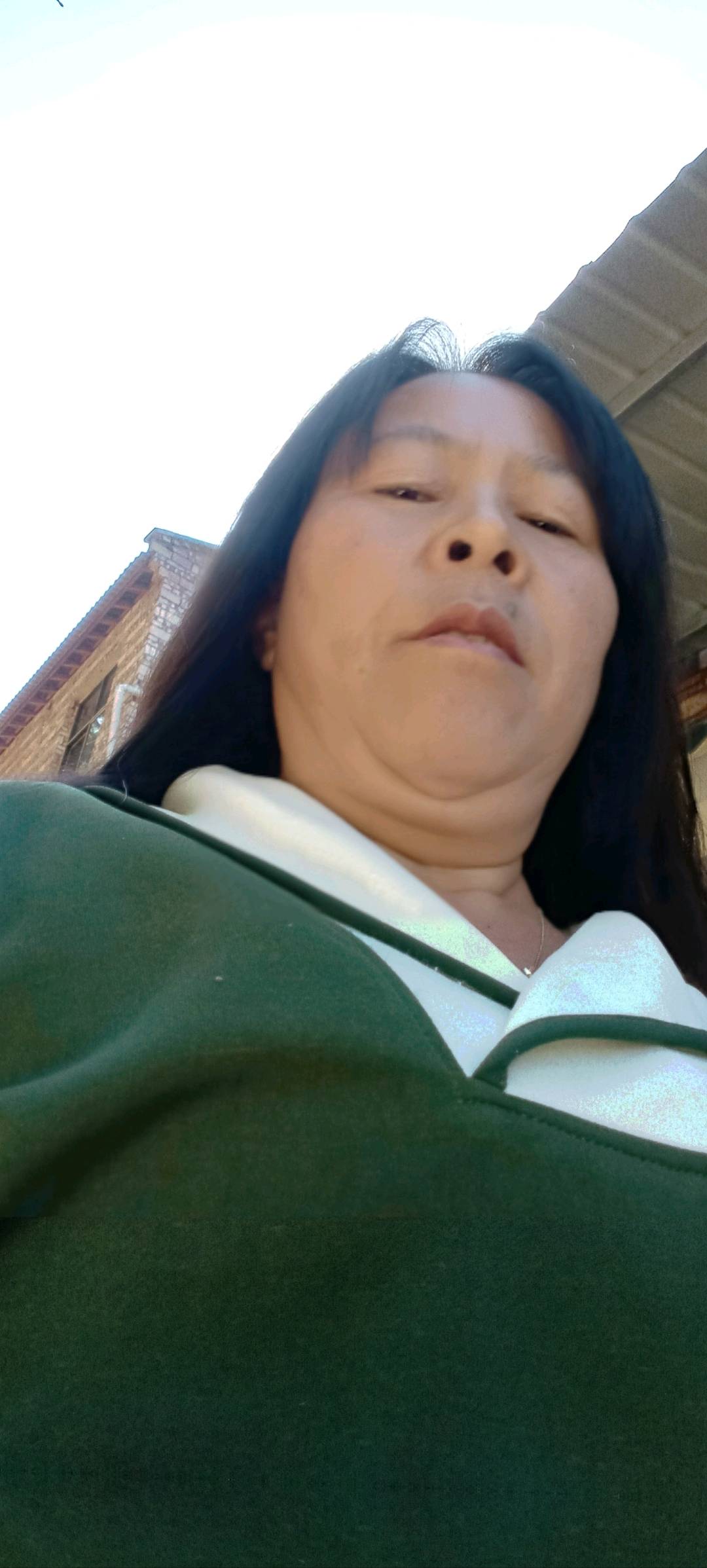 仙人掌