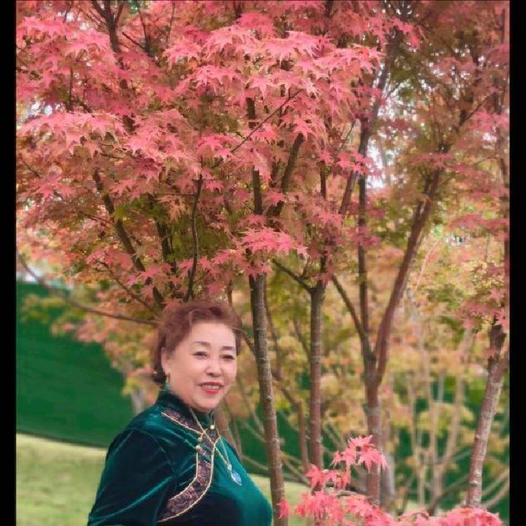 用户温婉老太太