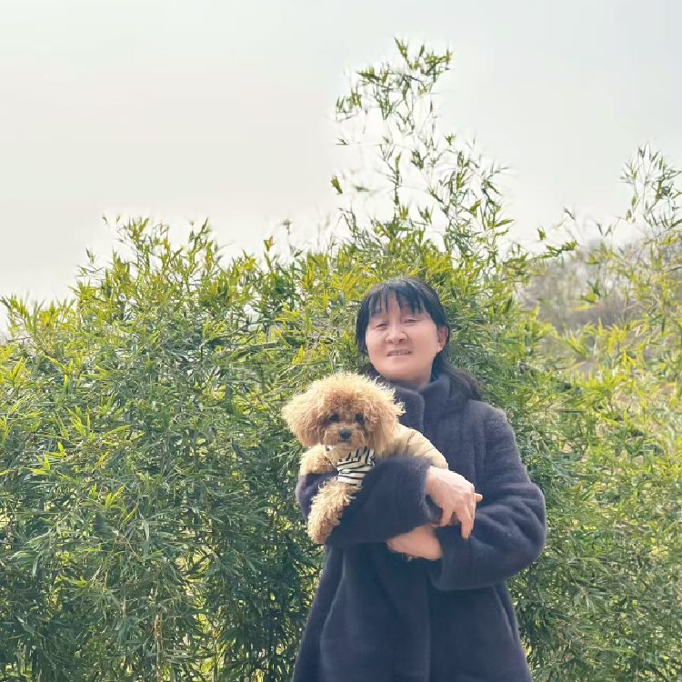诚心诚意