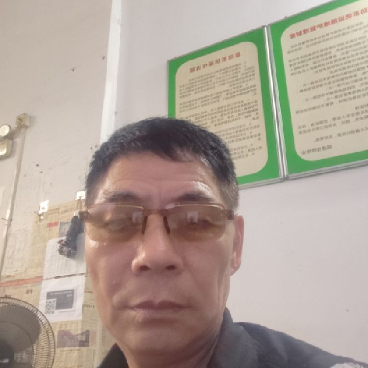 碎影舞斜阳