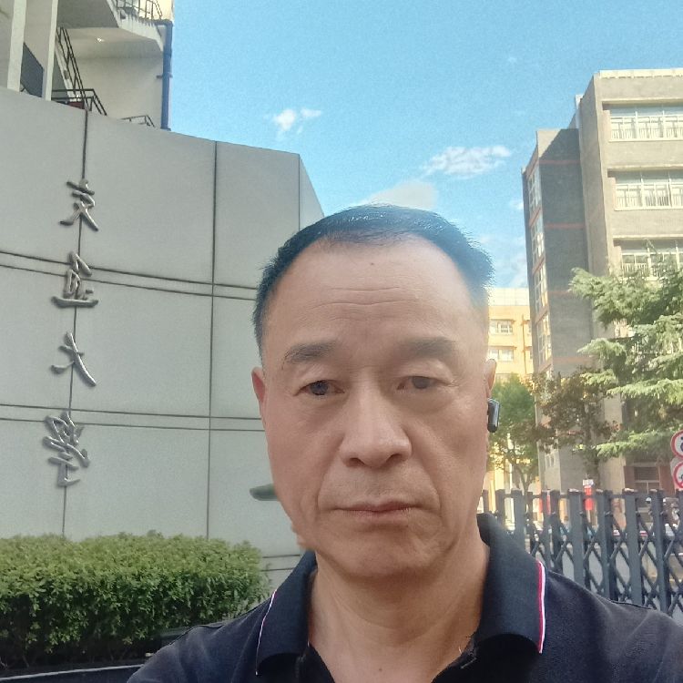 一片森林