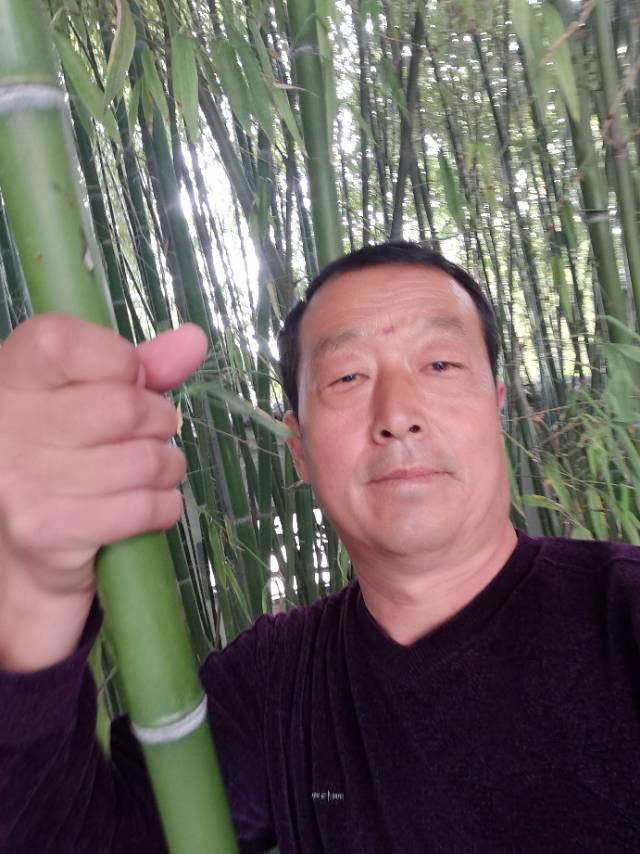 淡烟